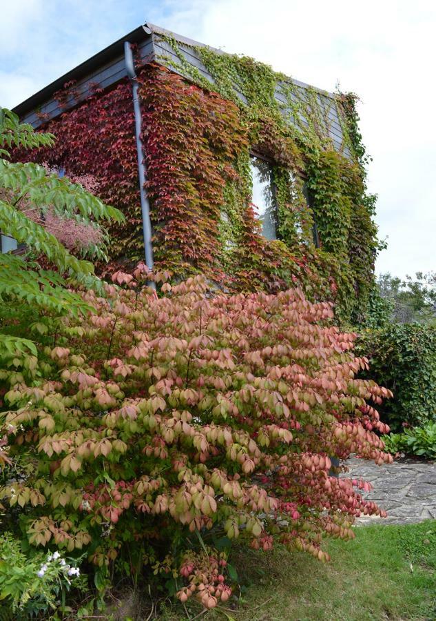 Jardin De Belle Vue Hotell Quimperlé Exteriör bild