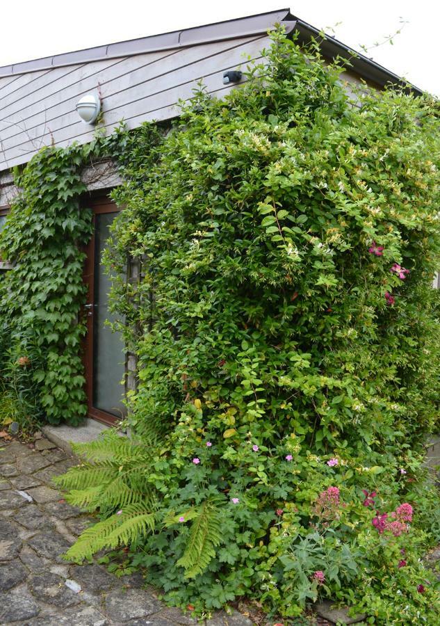 Jardin De Belle Vue Hotell Quimperlé Exteriör bild